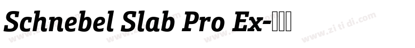 Schnebel Slab Pro Ex字体转换 Schnebel Slab Pro Ex字体转换